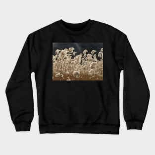 Wind and Light Crewneck Sweatshirt